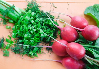 Bir grup ev yapımı çiftlik turpu çiftlikteki bahçeden toplanmış. Organik sebzeler