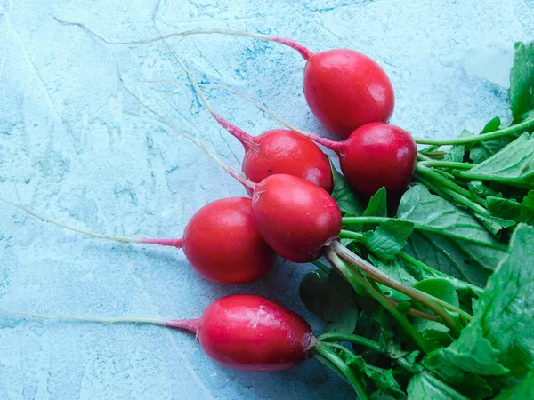 Bunch Homemade Farm Radishes Just Picked Garden Farm Organic Vegetables — Stock Photo, Image