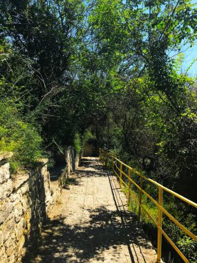 Şehir parkındaki ağaçlar arasında taşla döşenmiş bir patika. Bulgaristan. Balchik. Denize giden yol.