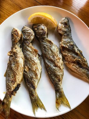 Beyaz tabakta ızgara sardalya. Baltschug. Bulgaristan
