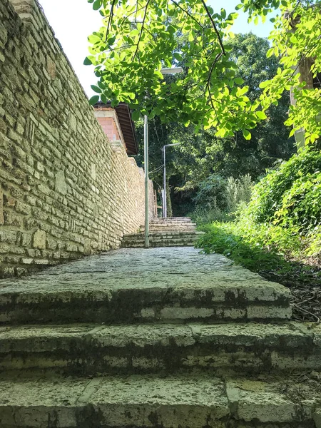 Parktaki yol taşla kaplıdır. Parke taşları bahçesindeki dekoratif patika ya da yol. Yürüyüş yolu taşları deseni. Peyzaj tasarımı, Avrupa peyzaj tasarımı.