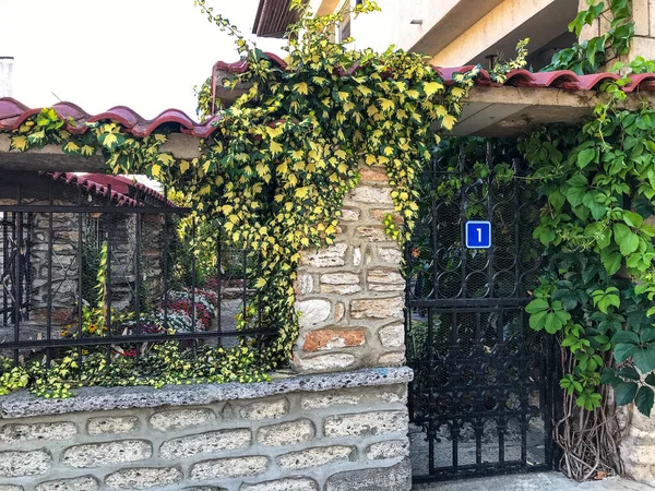 Взбираясь Зелени Цветам Над Входом Дом Болгария Балчик — стоковое фото