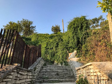 Kıyı çalılıklarının ortasında gri taşlarla döşenmiş bir yol. Varna. Bulgaristan.
