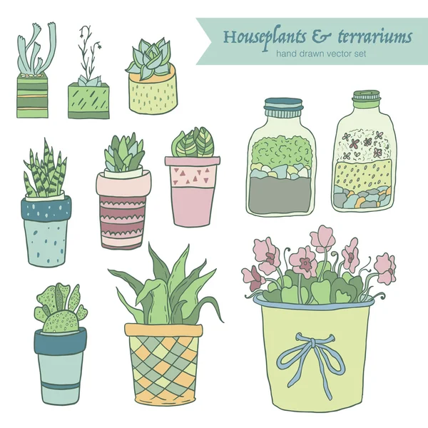 Cute hand drawn terrariums, houseplants and succulents in pots. Vector set. — Stock Illustration Cute hand drawn terrariums, houseplants and succulents in pots. Vector set. Vector Graphics
