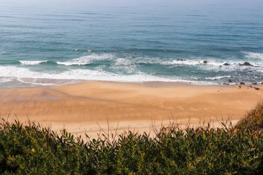 Okyanus üzerindeki sahil manzarası ve kumlu sahil farklı çalılıklarla kaplı yeşil ve kumlu bir tepeden.