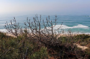 Okyanus üzerindeki sahil manzarası ve kumlu sahil farklı çalılıklarla kaplı yeşil ve kumlu bir tepeden.
