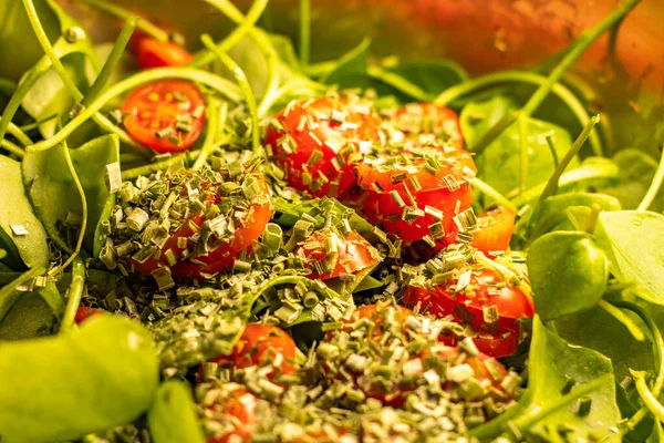 Küçük domateslerden yapılmış salata, kiraz domatesleri, yeşil geniş yapraklar ve metal kasede küçük kesilmiş kuru otlarla ince saplar.