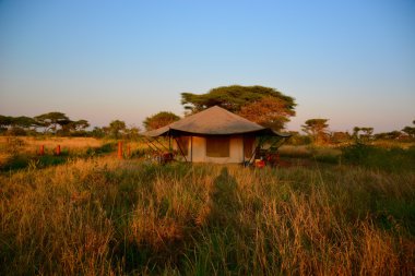 Luxury Tented safari camp Serengeti during sunset
