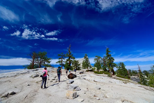 Park Narodowy Yosemite — Zdjęcie stockowe