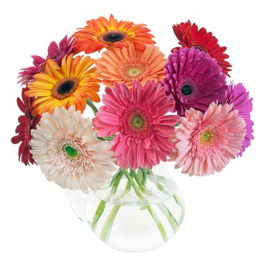 gerbera cam sürahi içinde renkli buket