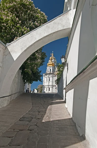 Un châtaignier en fleurs. Cathédrale de la lave de Kiev-Pechersk. Kiev. U — Photo