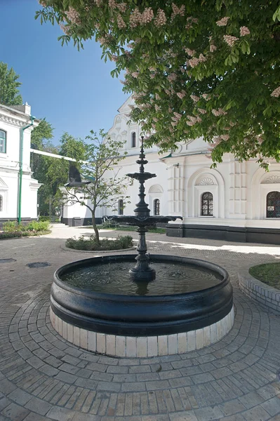 small yard with fountain