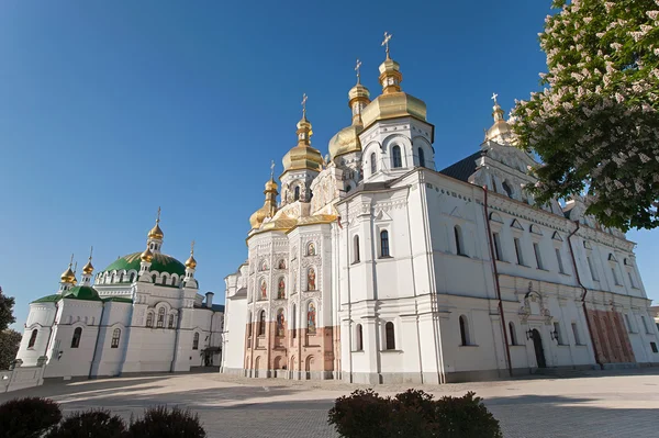 Blommande kastanj. Katedralen i Kiev-Pechersk Lavra. Kiev. U Royaltyfria Stockbilder