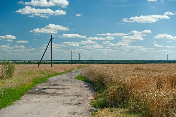 Buğday alanları ülkede yol — Stok fotoğraf