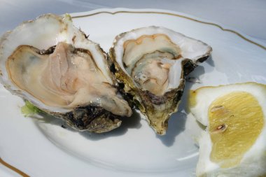 Açık istiridye ve bir dilim limon güneşli bir günde dışarıda beyaz, zarif bir tabakta.
