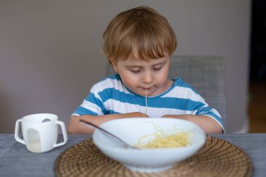 Evde İtalyan makarnası yiyen genç bir çocuk. Küçük çocuk içeride spagetti yemekten zevk alıyor. Tatlı çocuk ve sağlıklı yemek.