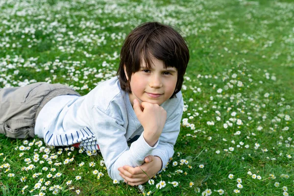 Adorable Kid Boy Laying Grass Daisies Flowers Park Warm Summer — Stock fotografie