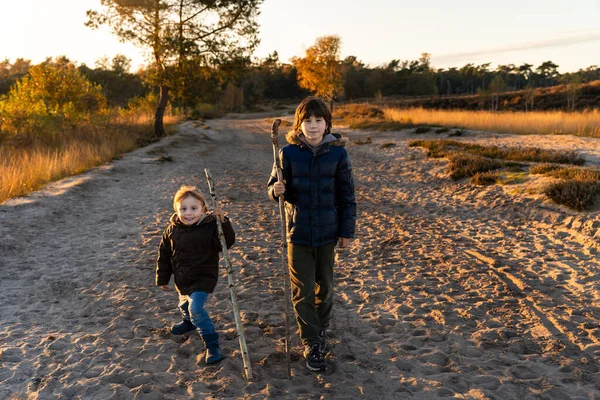 Δύο Αδέλφια Παίζουν Εξωτερικούς Χώρους Φθινόπωρο Στο Ηλιοβασίλεμα Αγόρια Που — Φωτογραφία Αρχείου