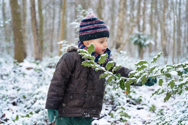 Menino Está Brincando Com Galhos Cobertos Neve Uma Árvore Parque — Fotografia de Stock