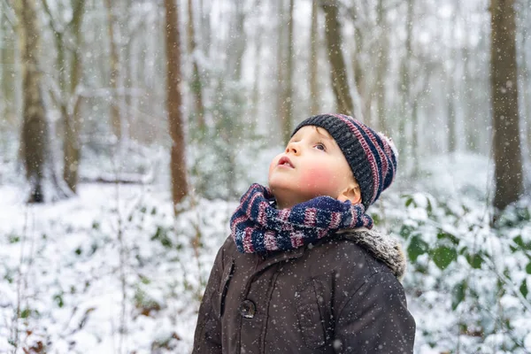 Παιδί Ζεστά Ρούχα Που Μένει Πάρκο Χειμώνα Και Κοιτάζει Ψηλά — Φωτογραφία Αρχείου