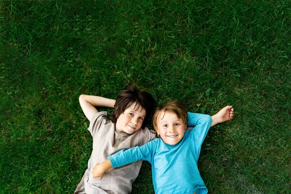 Retrato Dois Irmãos Deitados Uma Grama Parque Sorrindo Crianças Felizes — Fotografia de Stock