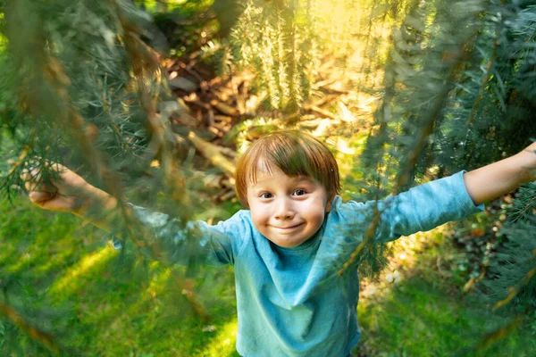 Retrato Menino Feliz Brincando Esconde Esconde Parque Criança Empurrando Galhos — Fotografia de Stock