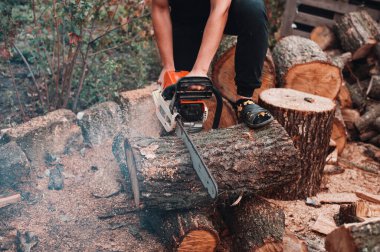 Adam elektrikli testere ile büyük bir kütük görmüş..