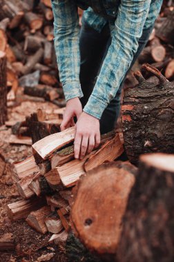 Kareli gömlekli adam yakacak odun topluyor.