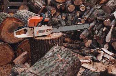 Elektrikli testere kereste fabrikasında duruyor.