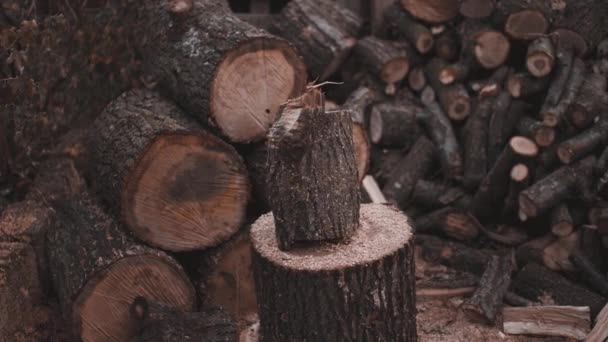 Spier houthakker hakt hout hard met een cirkel bewegen van een bijl — Stockvideo