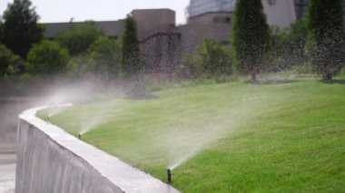 Parkta mükemmel bir çimenlikte fıskiyelerin çalışması.