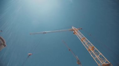 Aşağıdaki uzun sarı vince bakıyorum. 