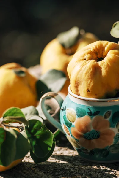 Autumn countryside scene of quince in a vase in soft sun light — Stock Photo, Image