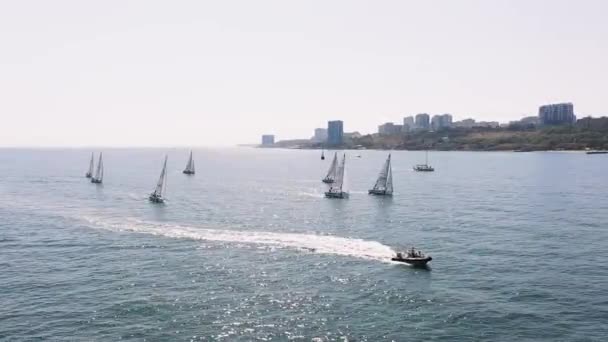 Un bateau à moteur rapide nage au-dessus d'une mer entre un voilier dans une journée ensoleillée — Video