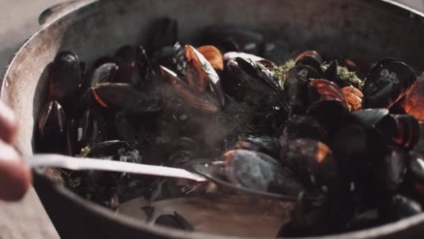 Lo chef usa lo scoop per imporre le cozze nella salsa alla panna dalla pentola al piatto di stagnola — Video Stock