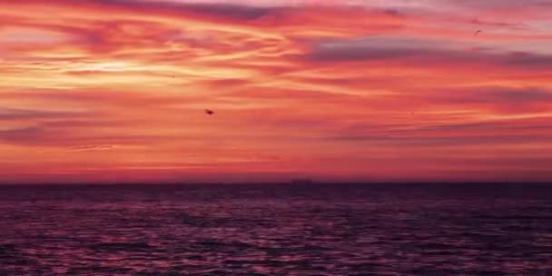 Κοιτάζοντας την τέλεια πορτοκαλί-κόκκινη ανατολή με πολλά πουλιά που πετούν πάνω από τη θάλασσα — Αρχείο Βίντεο