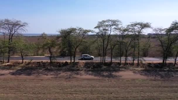 Légi felvétel oldalról mozgó fehér autó út keresztül mezők — Stock videók