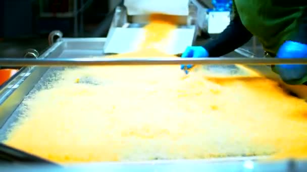 Trabajador de fábrica en guantes azules comprueba una calidad de macaronis fina. — Vídeo de stock