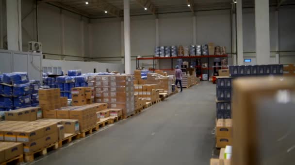 O lote de cajas almacenadas en gran almacén en la fábrica de alimentos — Vídeos de Stock