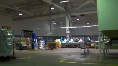 Yiyecek fabrikasındaki büyük sanayi paketleme bölümüne bakıyorum.