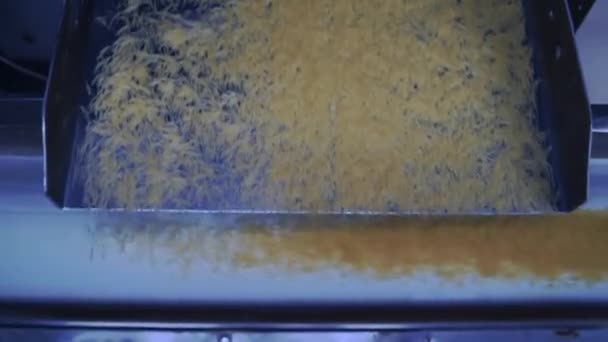 Productie van pasta op een moderne productielijn. Macaroni valt naar beneden. — Stockvideo