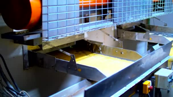 Ligne de convoyeur pour la production de macaronis. Déversement de macaronis secs de la machine — Video