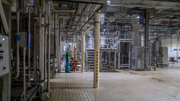 Bir gıda fabrikasındaki dev endüstriyel yapılara bakıyorum.