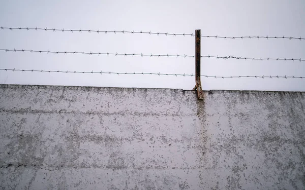 Eski beton bir çitin tepesindeki paslı dikenli tel. 