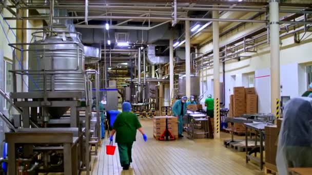 Datori di lavoro della linea di imballaggio, in bio resistente adatta processo di lavoro regolare. — Video Stock