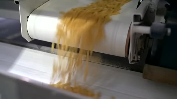Amazing shot pâtes crues macaroni courir bande transporteuse en acier sur l'usine de pâtes. — Video