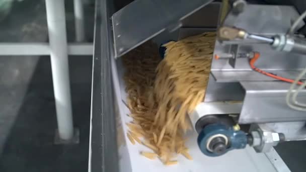 Massas orgânicas secas cruas de trigo integral penne macarrão em execução num transportador — Vídeo de Stock