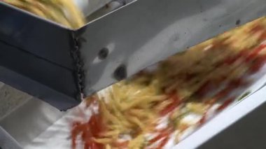 Makarna ve Erişte Fabrikası. Fusilli ya da Rotini 'yi taşıma bandından atmak.