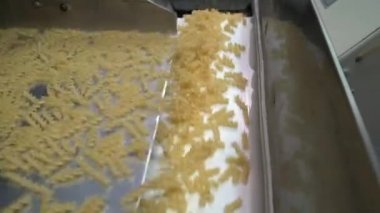 Makarna fabrikasındaki konveyör bandına çiğ makarna döküyorum.