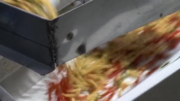 Pasta en Noodles Fabriek. Fusilli of Rotini uit een transportband laten vallen. — Stockvideo